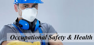 Occupational Health & Safety Assessment